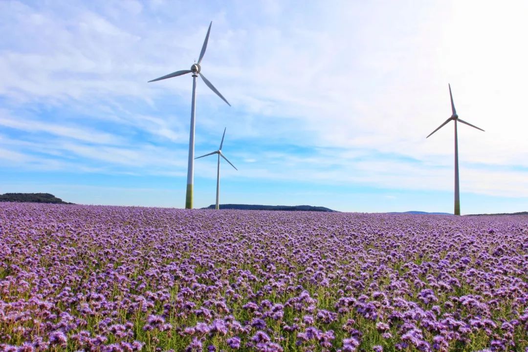 开车去欧洲的路上视频,开车去欧洲的完整视频