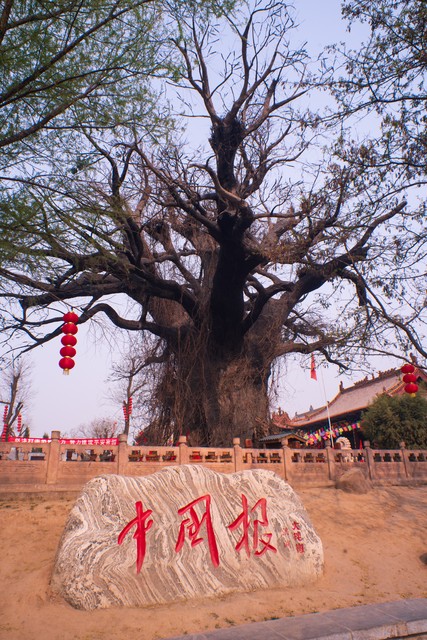 葛姓图片大全,葛姓男孩名字