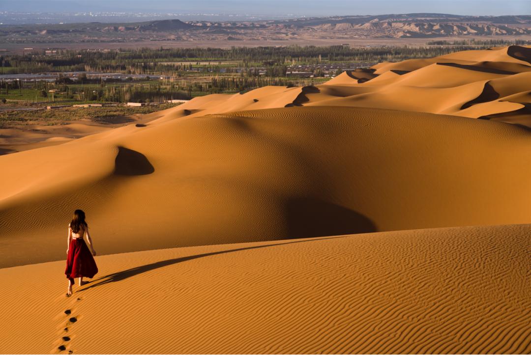 四月新疆伊犁草原,新疆伊犁野杏花最美人间四月天