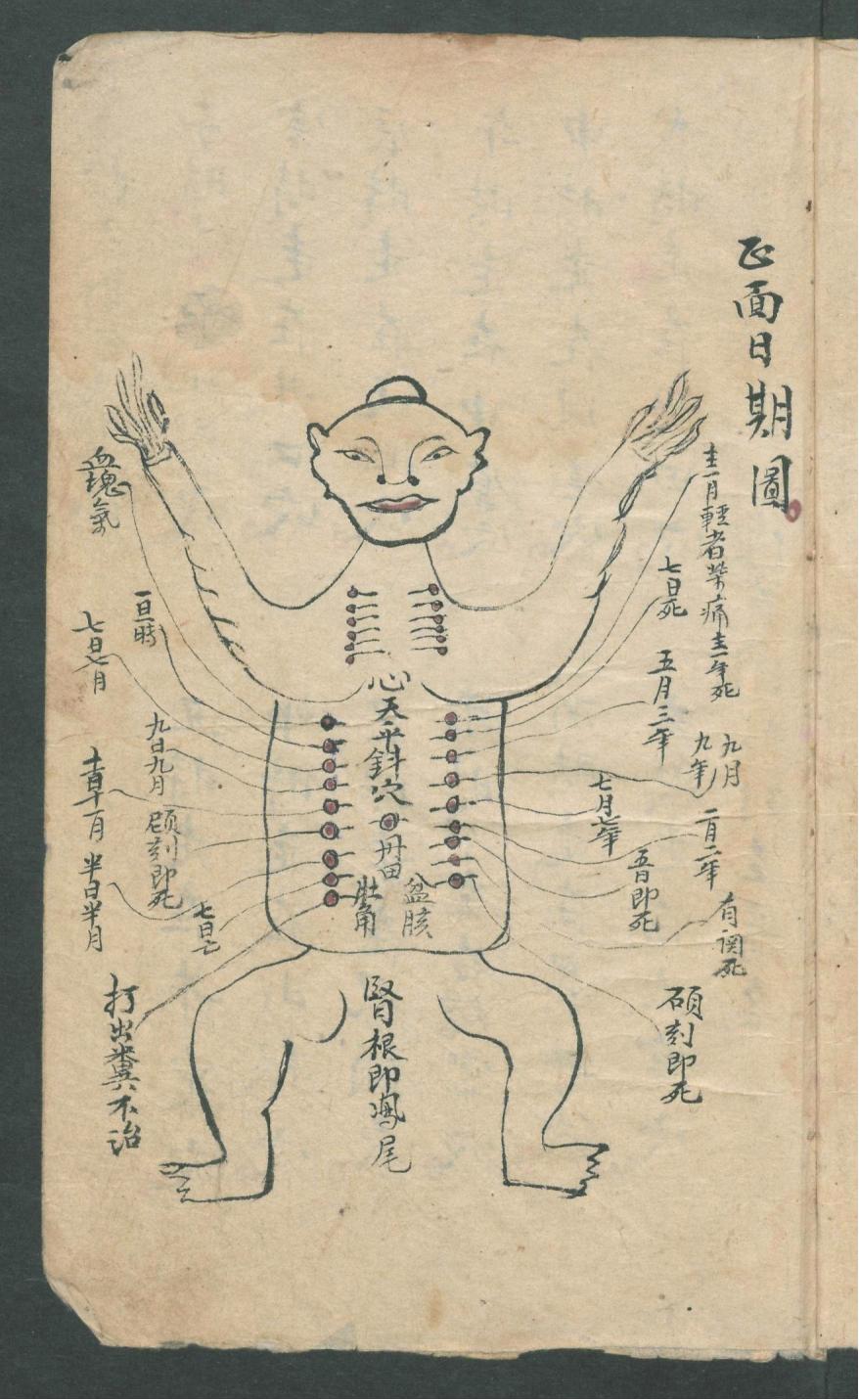 华佗仙师秘传01,华佗仙师秘传全集