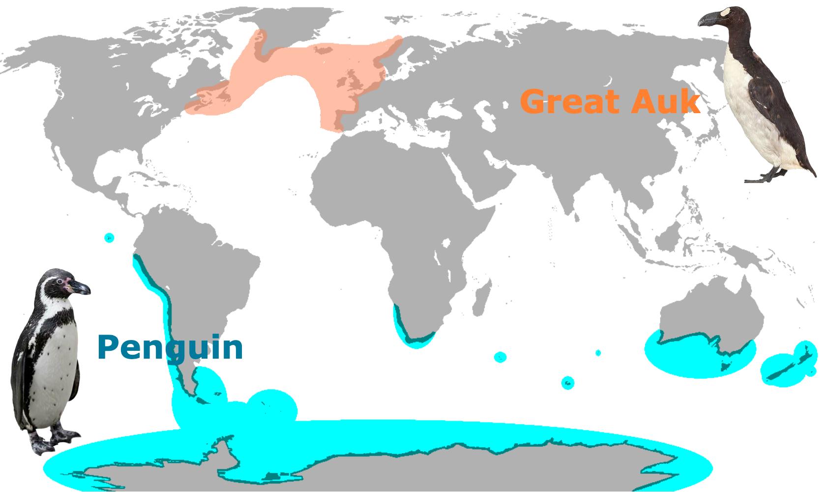 企鹅为什么生活在南极不在北极呢,第一只企鹅为什么不能生活在北极