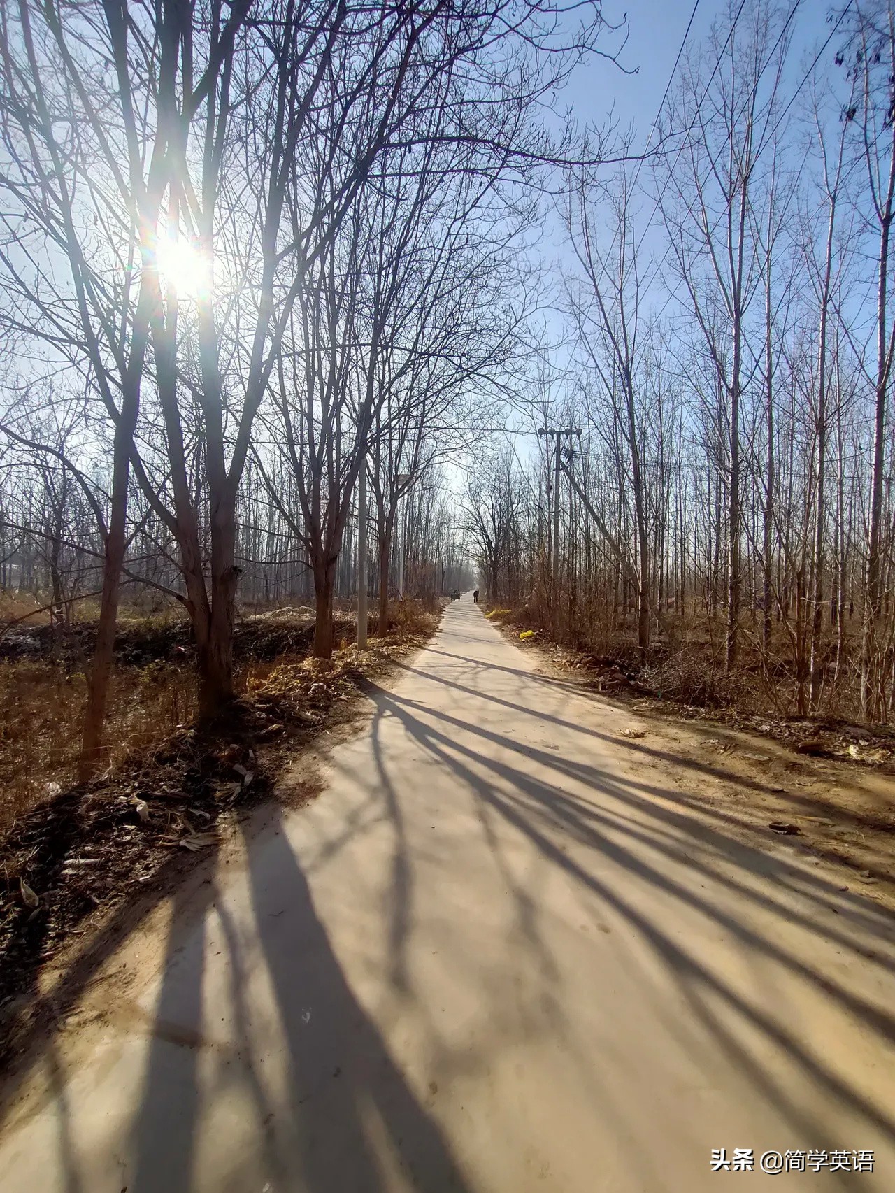 新概念英语第一册听不懂,新概念英语第一册一年级适合吗