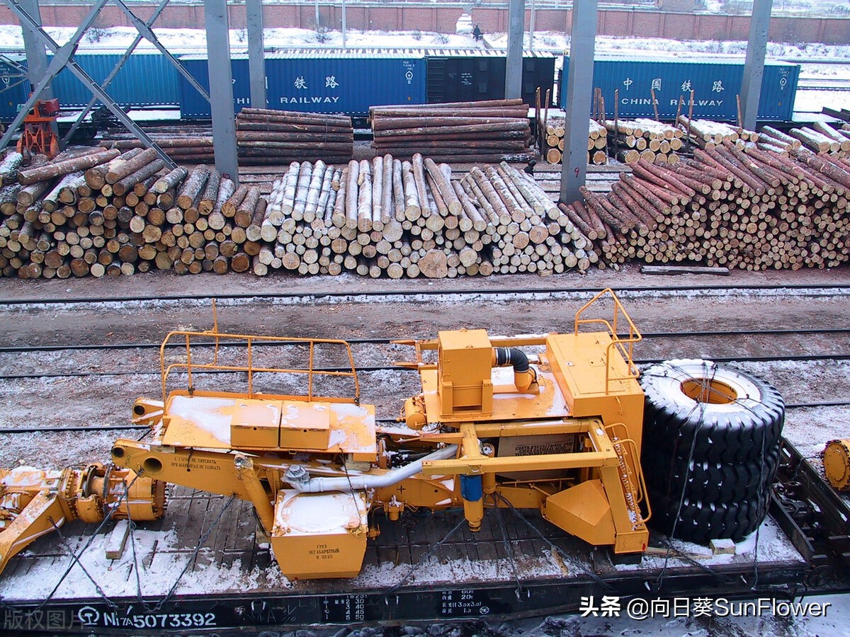 俄国风情：江苏小伙刘万年，向心爱的俄罗斯姑娘求婚，好事将至