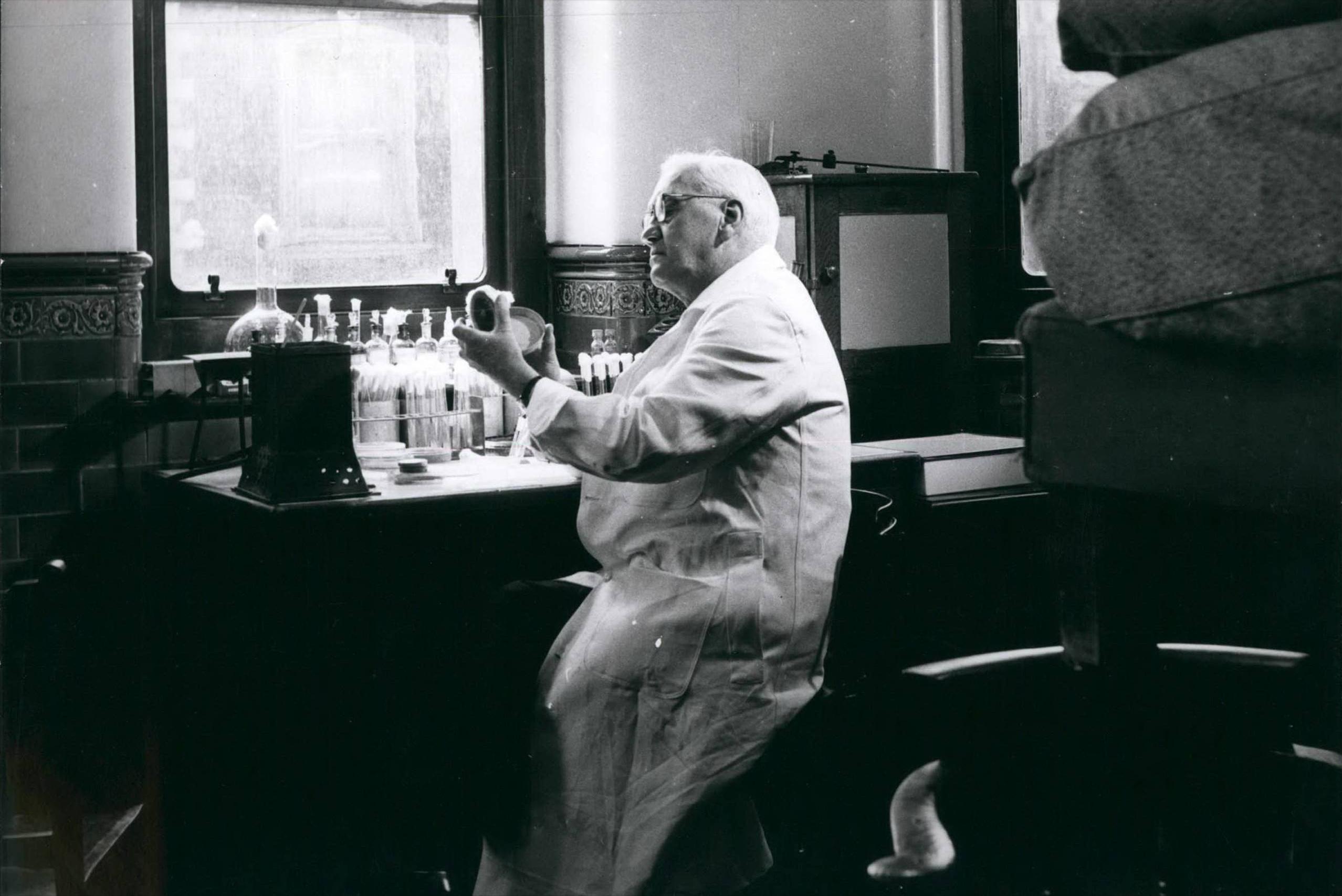 青霉素偶然发现给我们什么启发,青霉素的发现拯救无数生命