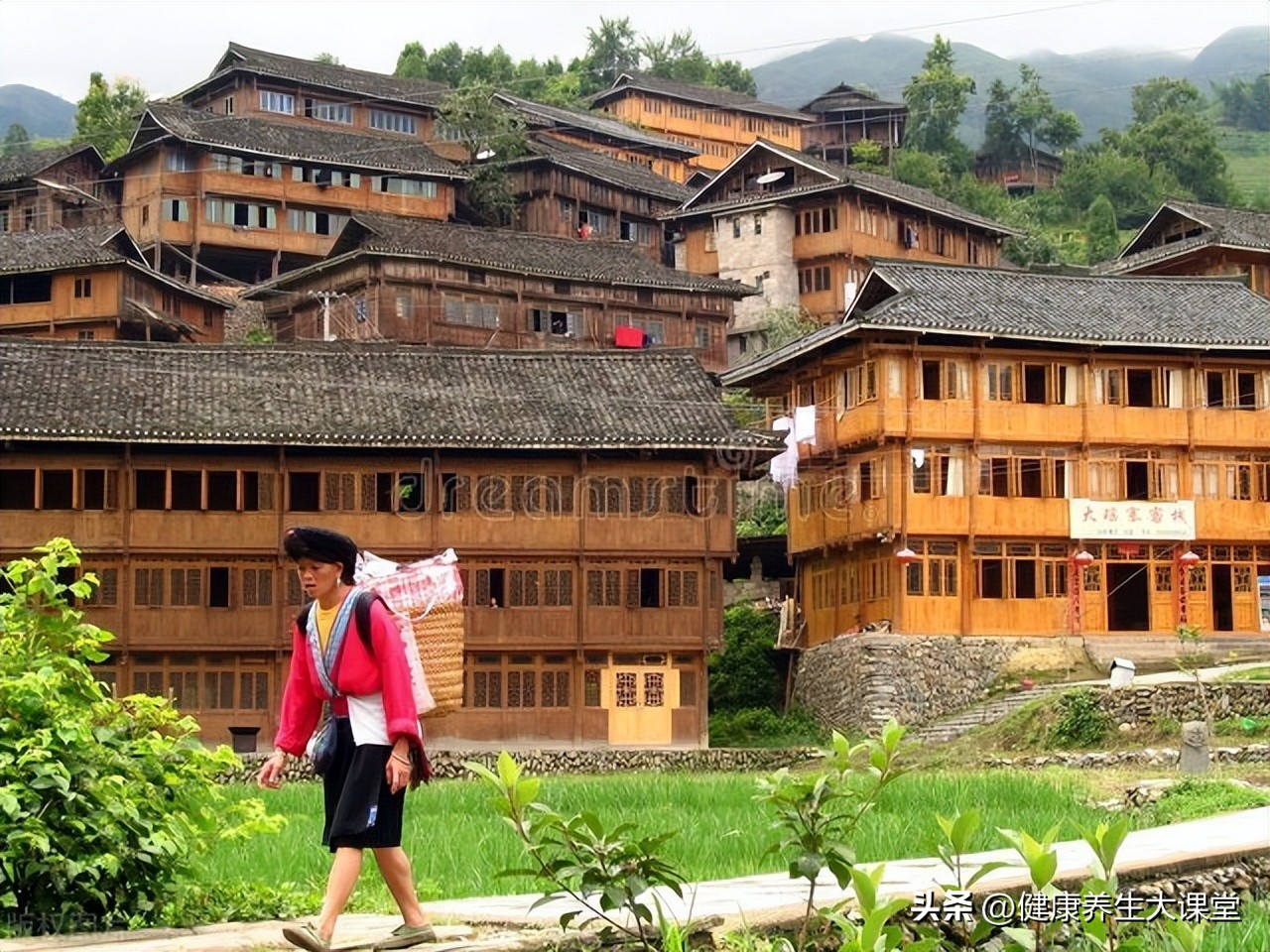 瑶族瑶医瑶药中提的五虎、九牛、十八钻、七十二风是指哪些中药材