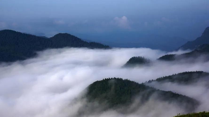 夏天的重庆是一个巨大的森林氧吧,重庆有哪些地方被评为天然氧吧