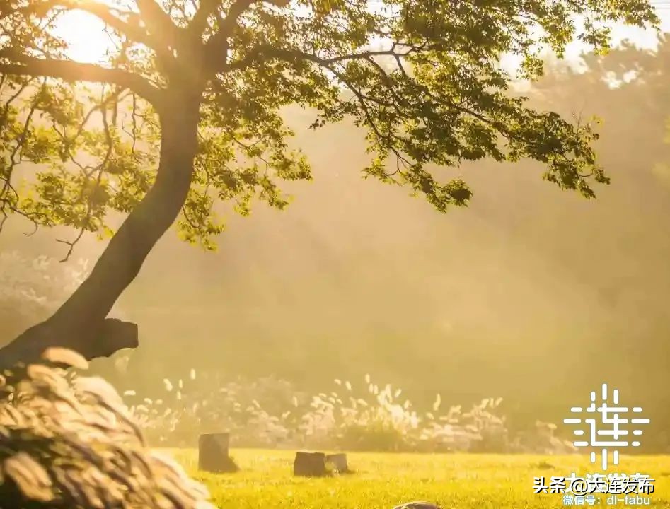 儿童节景区免费,多景区推儿童节优惠政策