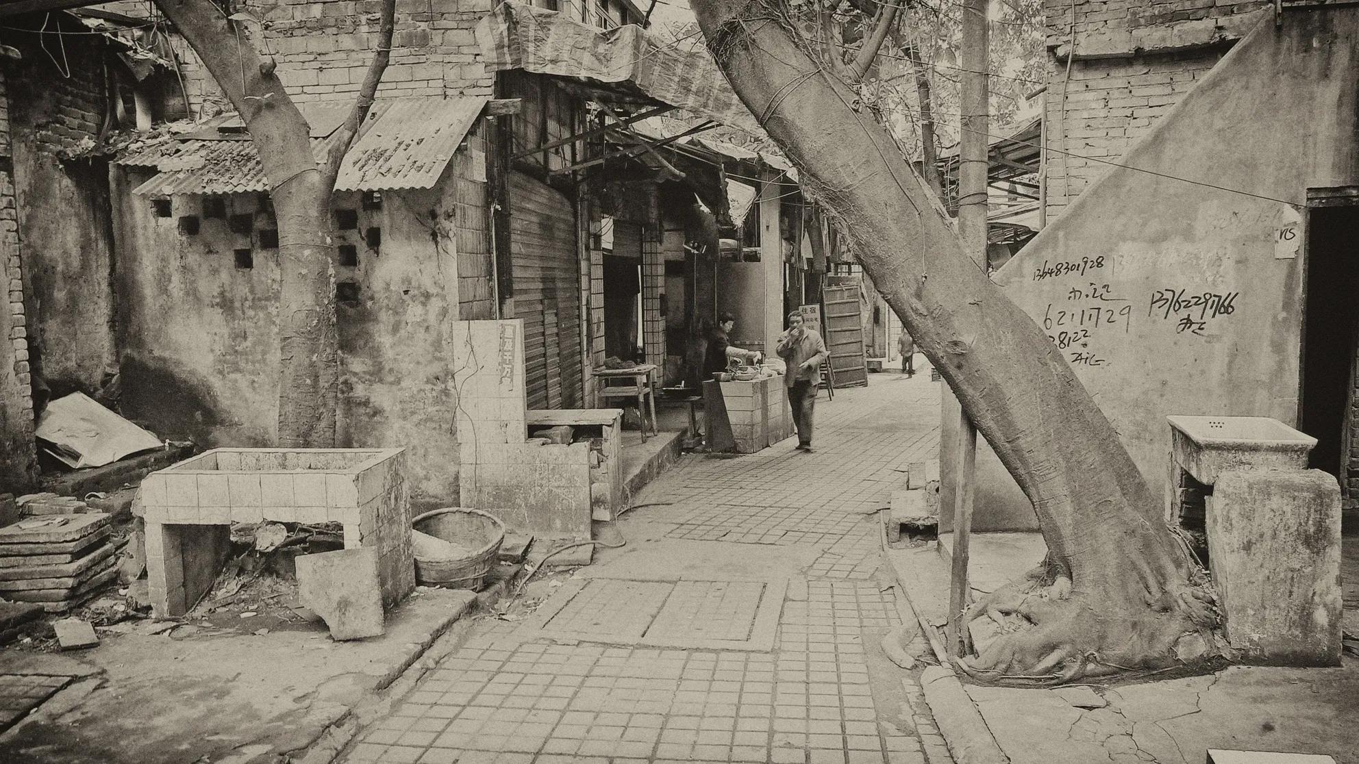 鍗佸勾鍥炵湼,鍗佸勾鍥炵湼鎬荤粨