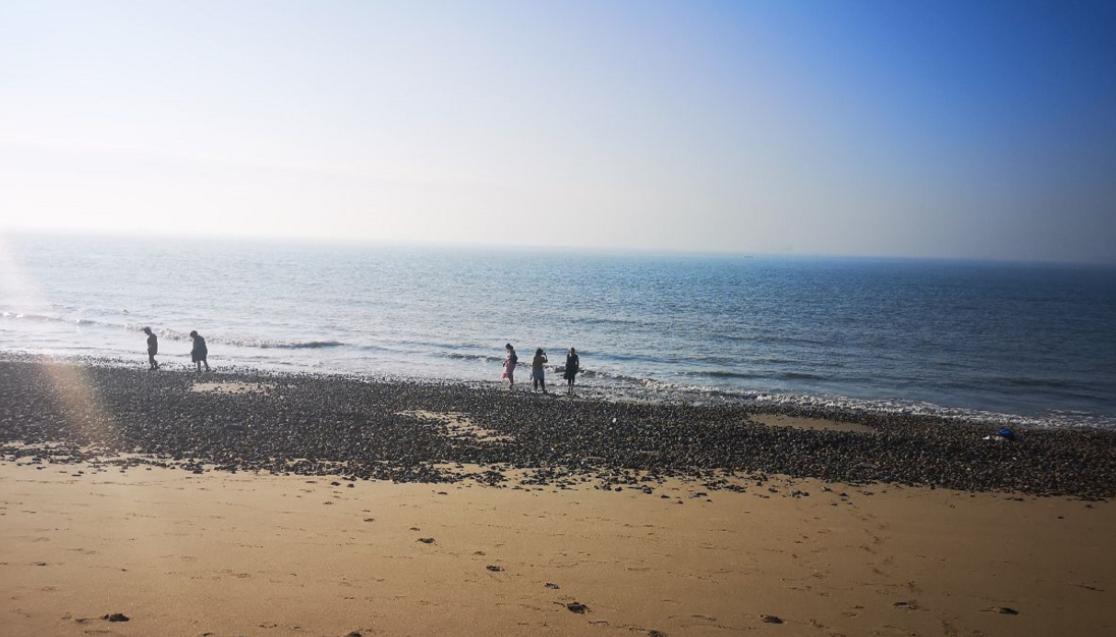 厦门带父母一日游最佳攻略,五一带孩子厦门玩一天必打卡景点