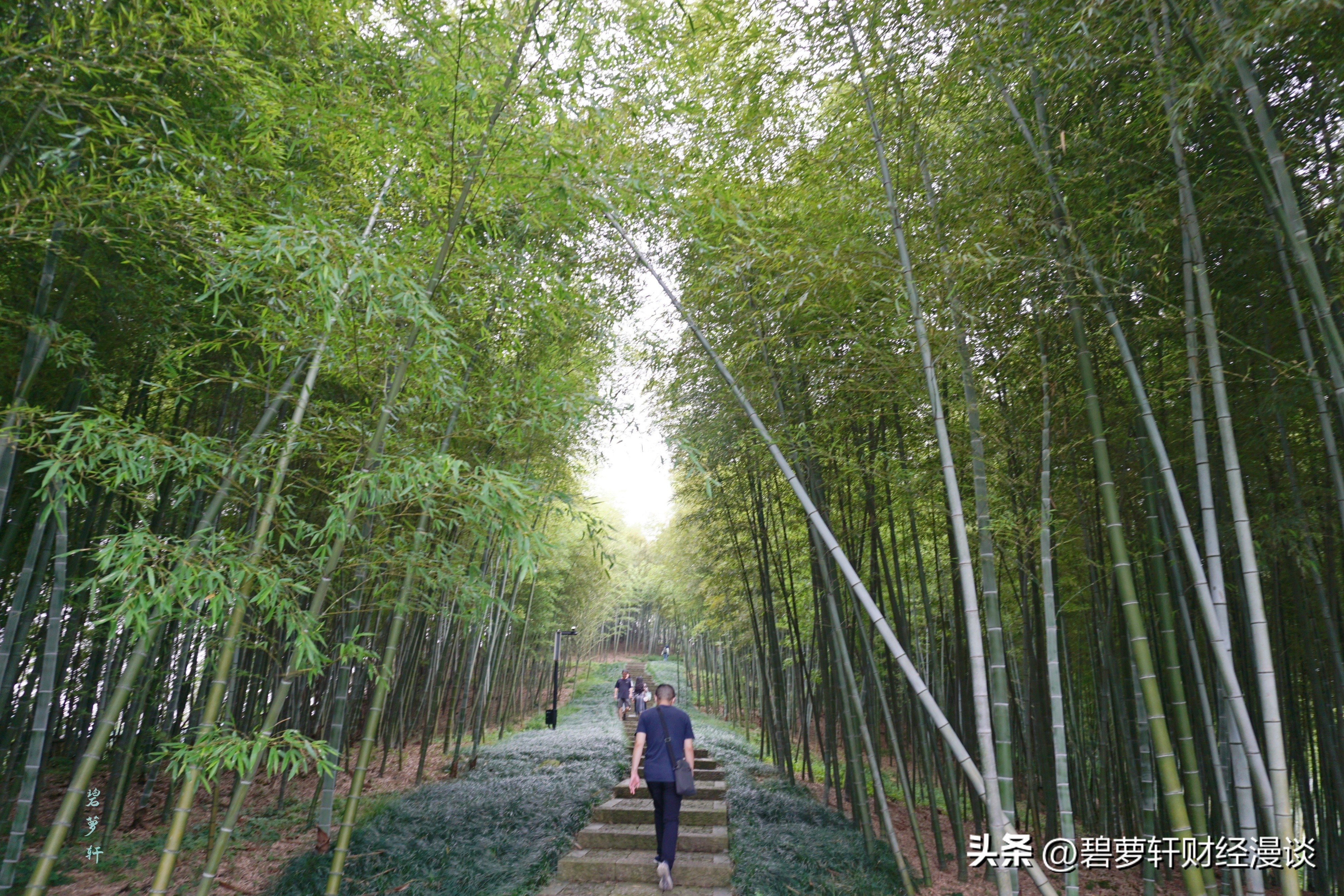 穿越5000年漫步良渚古城遗址公园,穿越千年探秘南粤