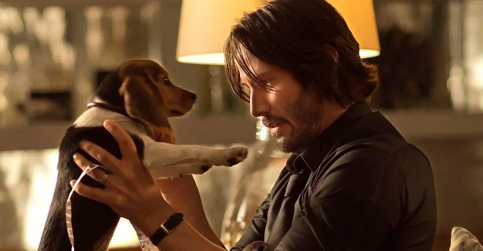 好莱坞经典疾速追杀,好莱坞三大禁忌疾速追杀