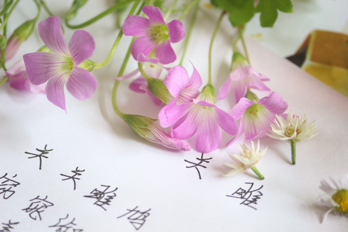 取个名字咋就这么难呢,孩子名字难写