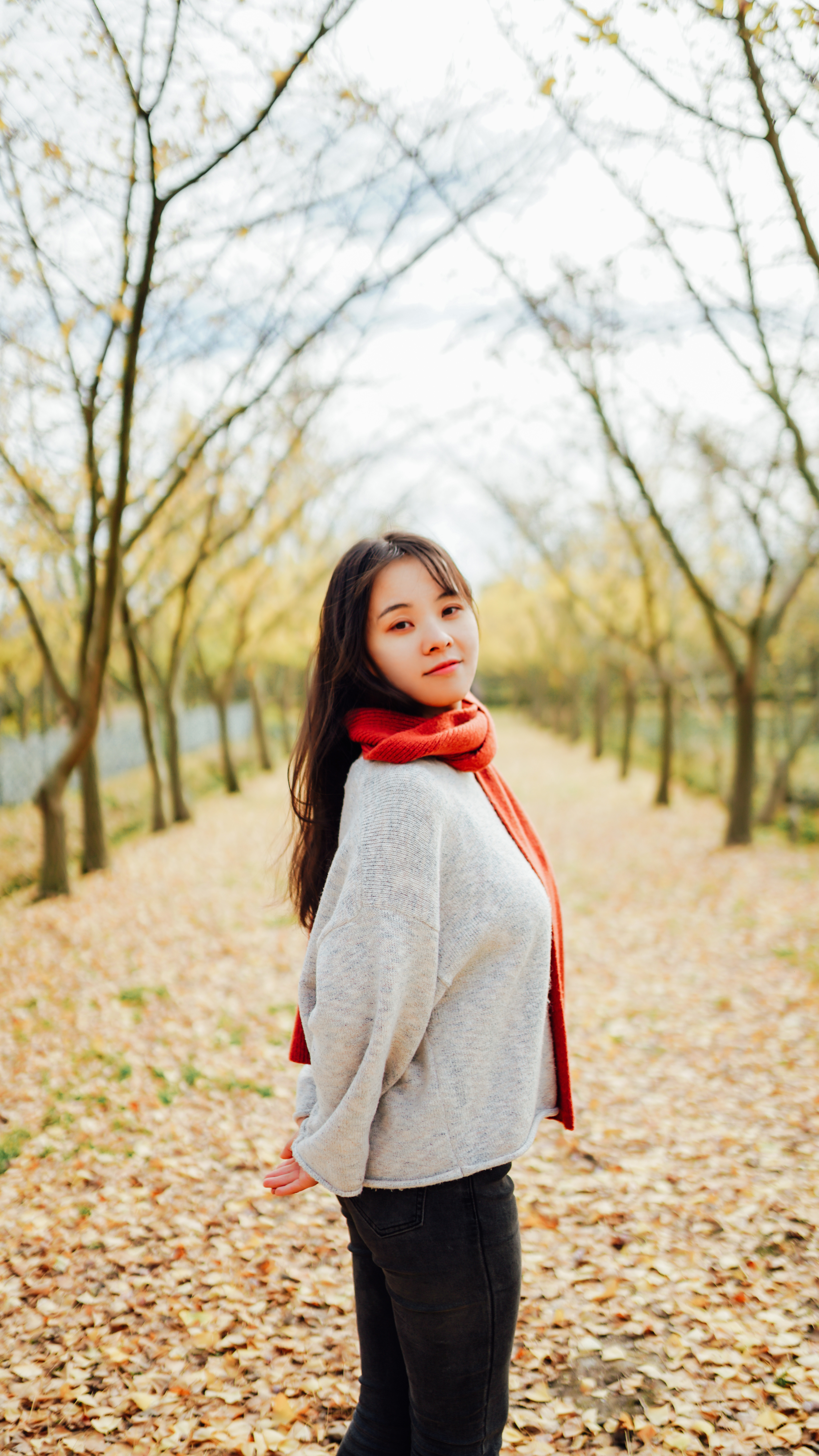 摄影苏州银杏树,苏州银杏拍照人像