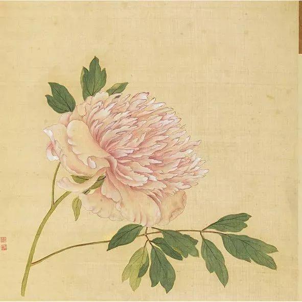 蒋廷锡牡丹画法,蒋廷锡百种牡丹画法