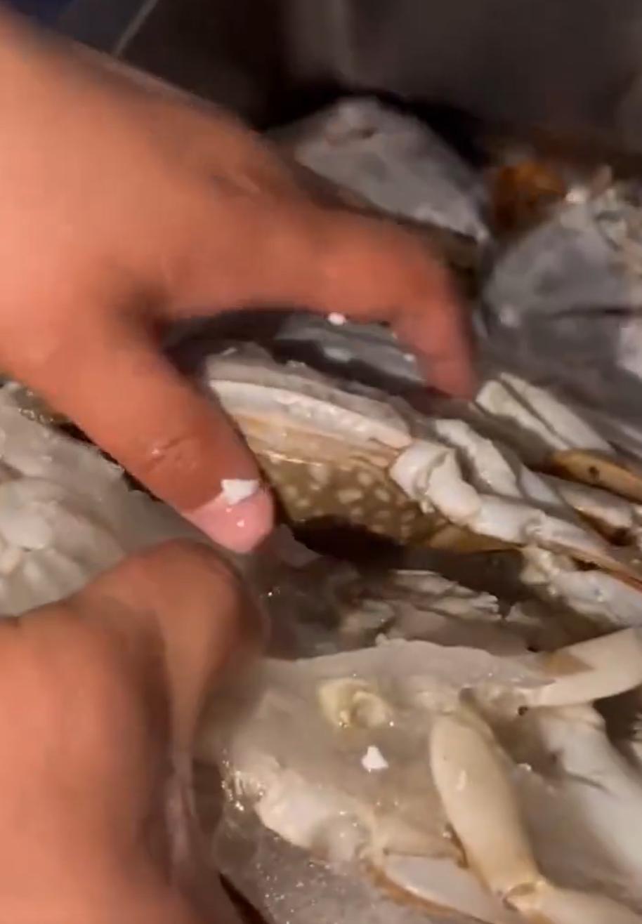 姊瓙锜硅瘓楠楁,楠楀瓙鍗栨瀛愯煿濂楄矾鎶ヨ