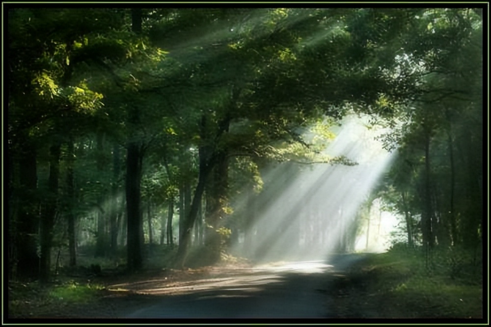 被鳗鱼咬一口是什么感觉,被鳗鱼咬了