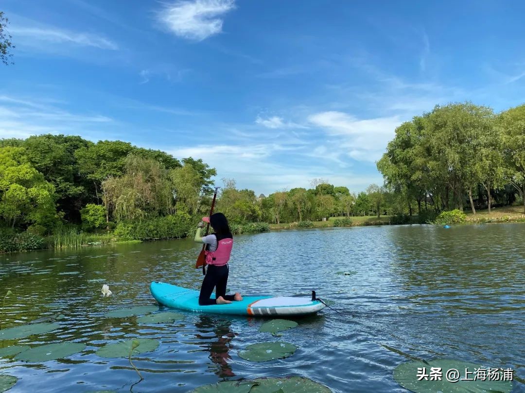找到一处绝佳完美露营地,强烈推荐露营地