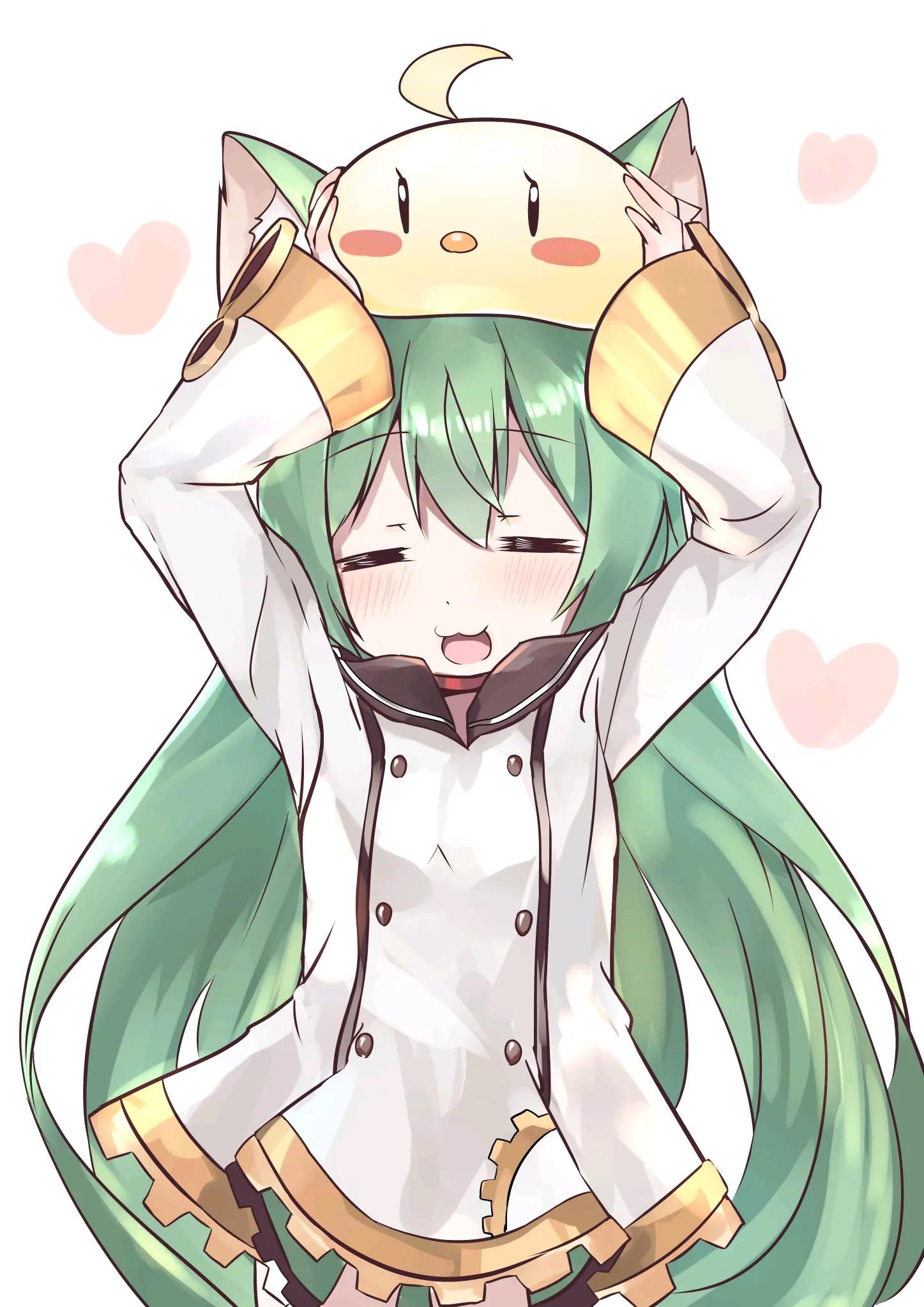 二次元小猫美图,二次元白喵美图