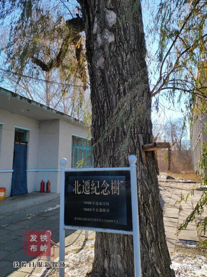 铁光公司：“老字号”焕发新生机