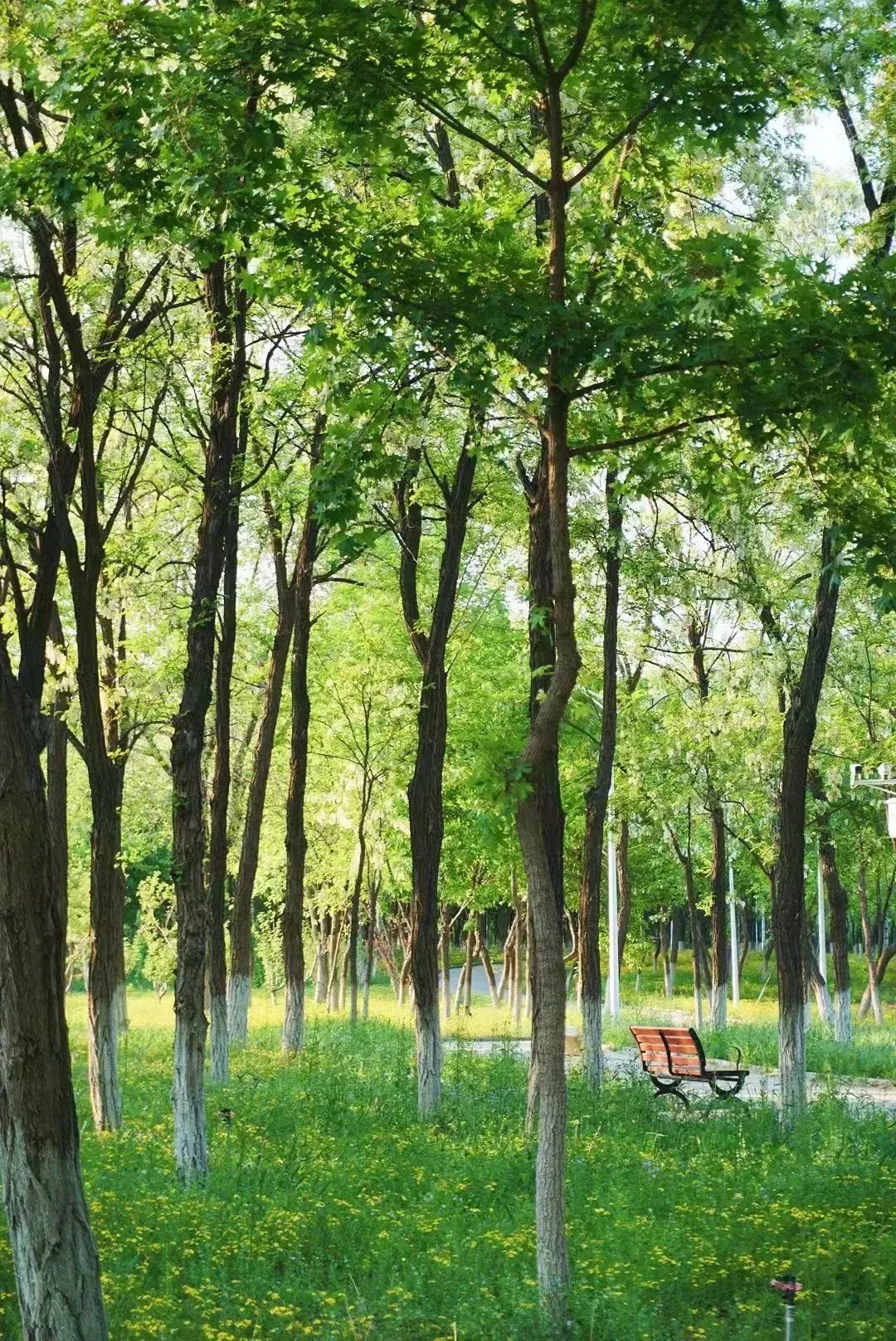 【FENG娱】王佐镇:娱乐+科普+自然,暑假解锁亲子出游新方式!