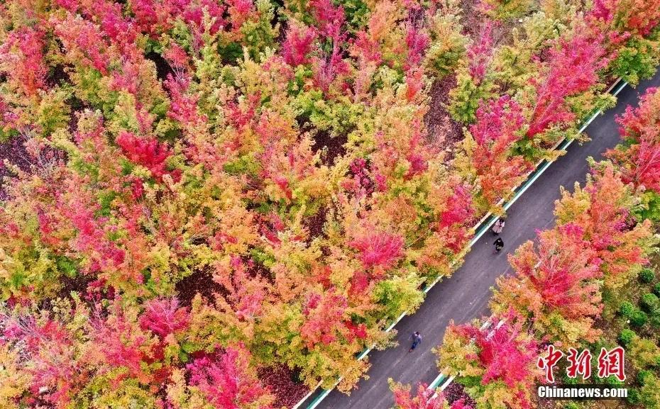 在成长的道路上遇见自己