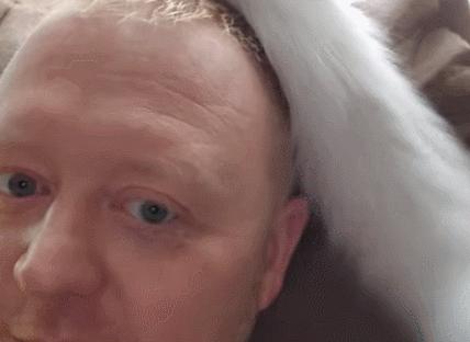 为啥猫咪老用尾巴扇我是不耐烦吗,猫咪一直扇尾巴