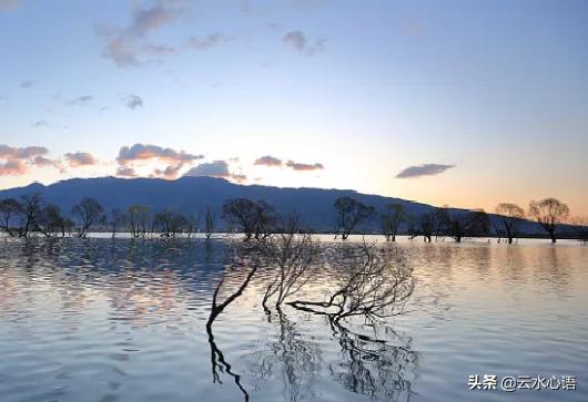 朱熹蕴含道理的诗,朱熹诗中最有名的五言绝句