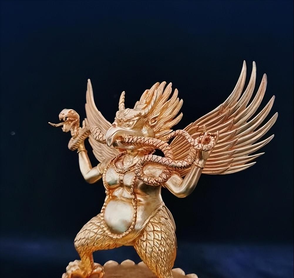 金翅鸟图像分析,金翅鸟视频大全