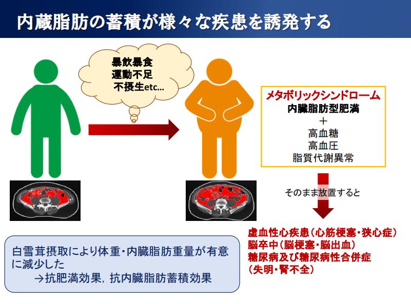 抗衰调理新选择，日本白雪茸，天然菌类萃取安全又健康