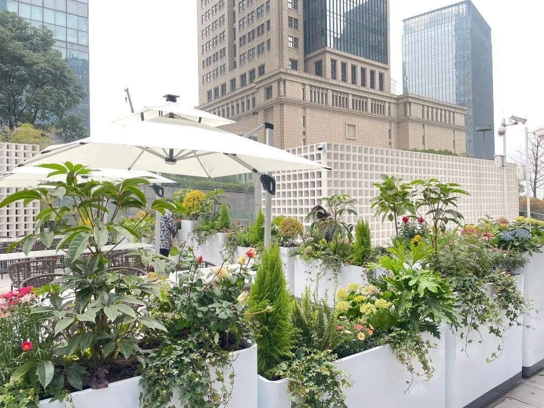 复合型花店怎么做,如何开一家复合型花店