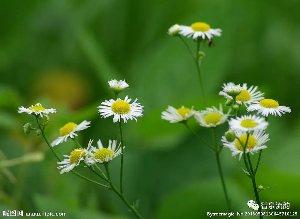 郭进栓汝州,郭进栓