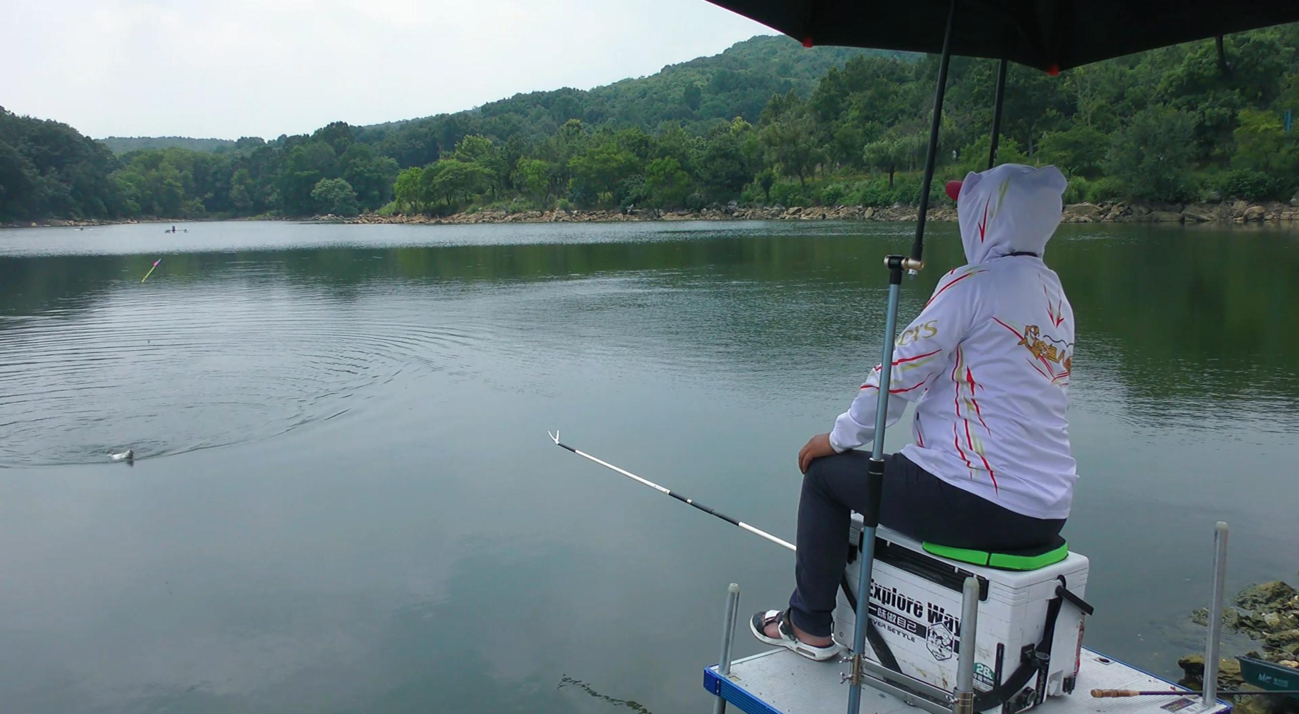 水里有鱼但不咬钩怎么办,水里有小虫子就钓不到鱼怎么回事