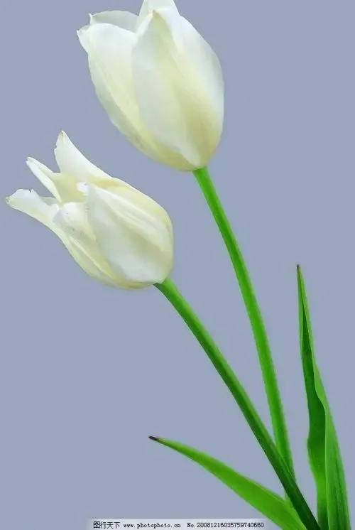 闺蜜小说知乎,闺蜜小说免费阅读