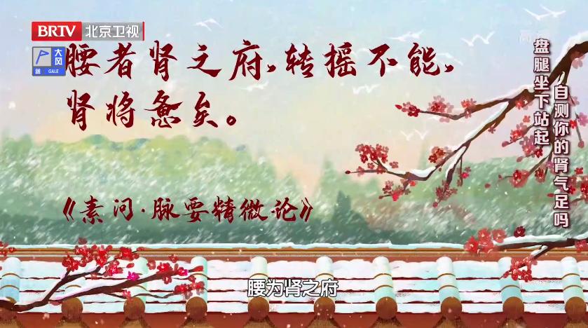 枸杞子煮鸡蛋真能补肾,枸杞炖鸡蛋补肾