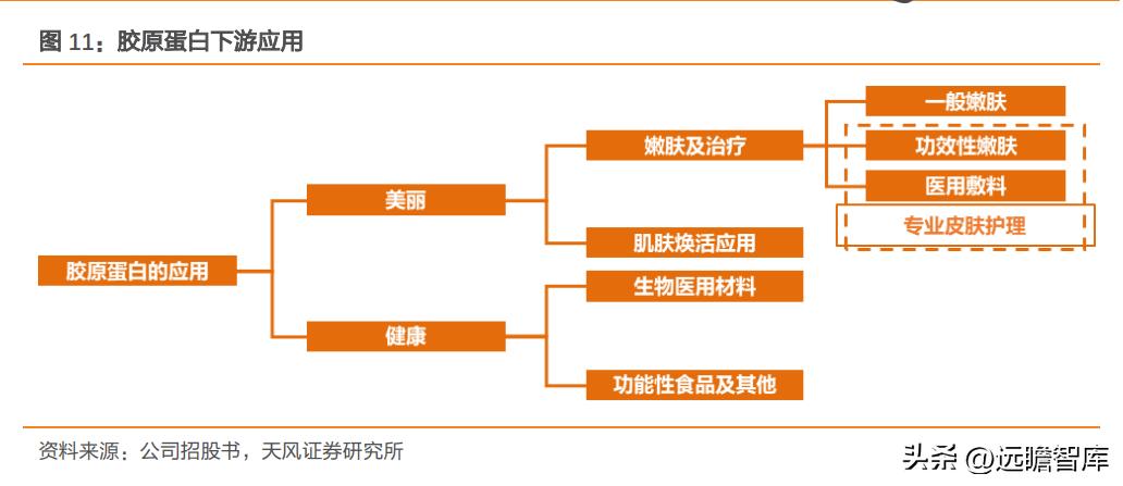 巨子生物重组胶原蛋白,巨子生物三型胶原蛋白获批