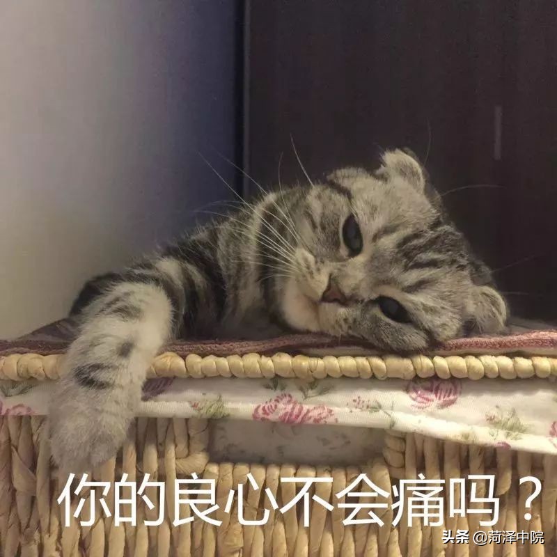 买名牌，退假货，非法获利89万，怎么判？