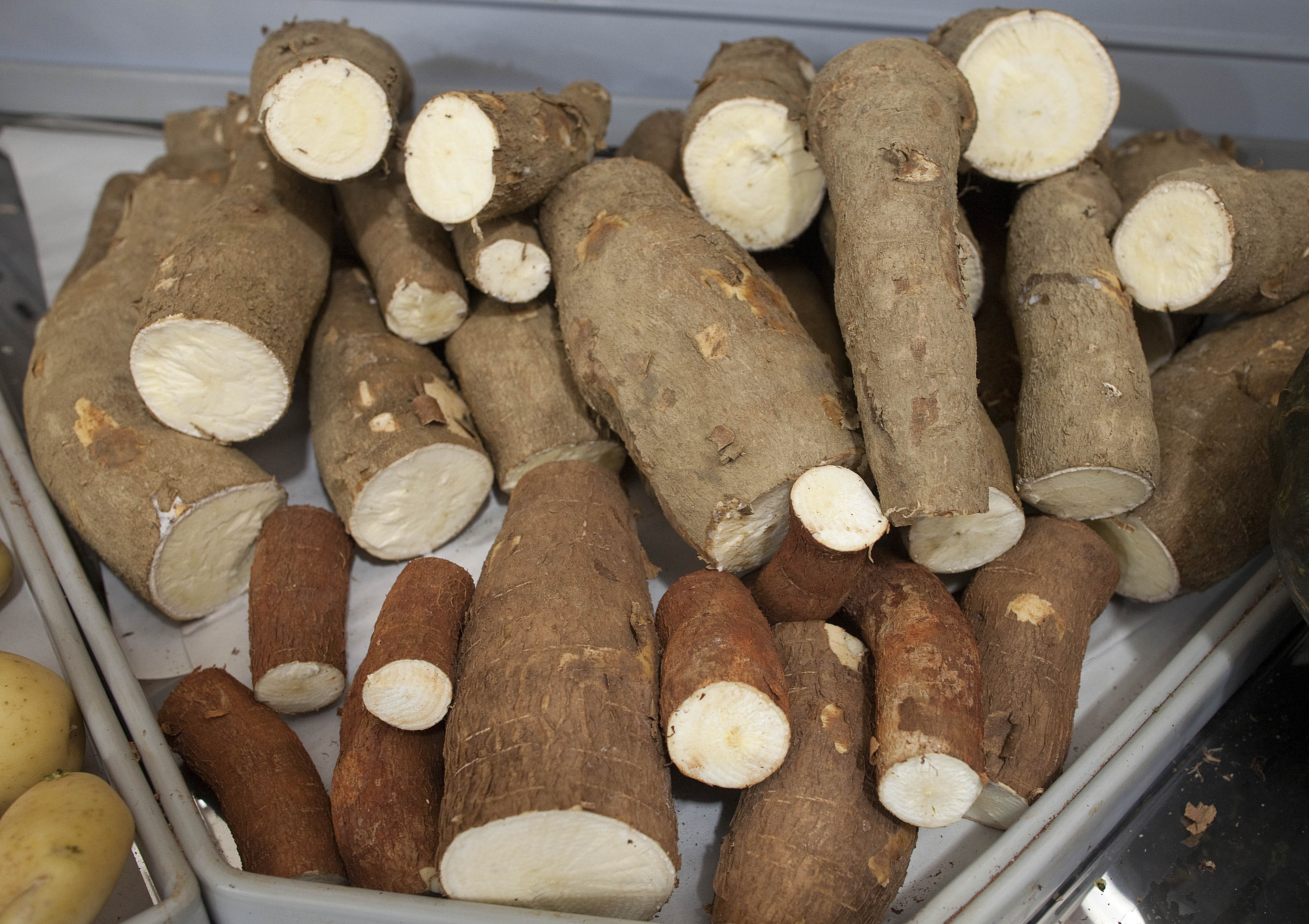 木薯和红薯粉有什么区别,木薯和红薯粉条有什么区别