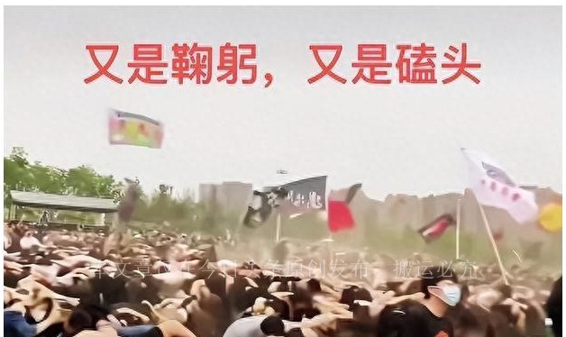 迷笛音乐节混乱,太湖迷笛音乐节事件