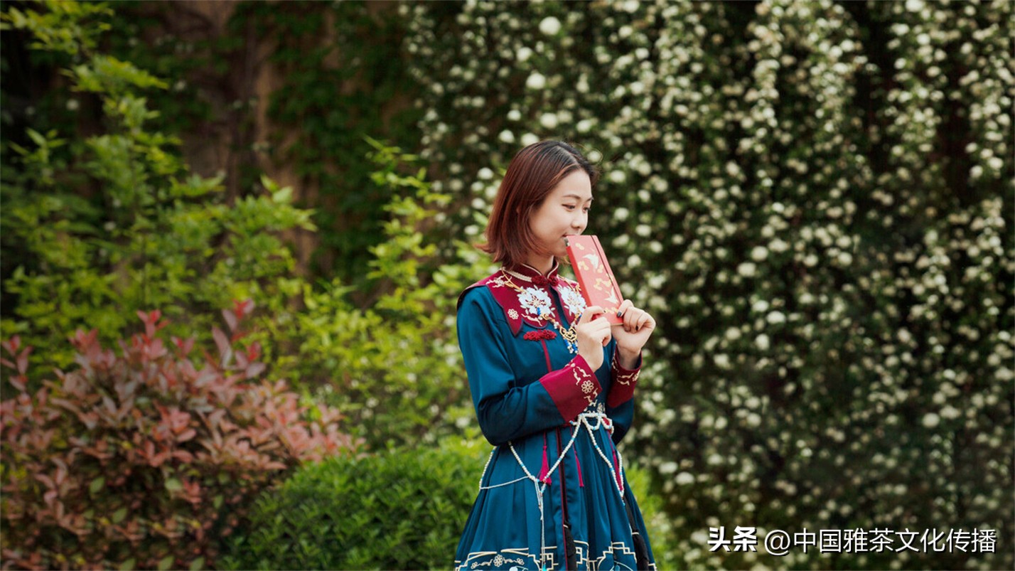 几缕茶香,一壶清茶几缕阳光几分优雅