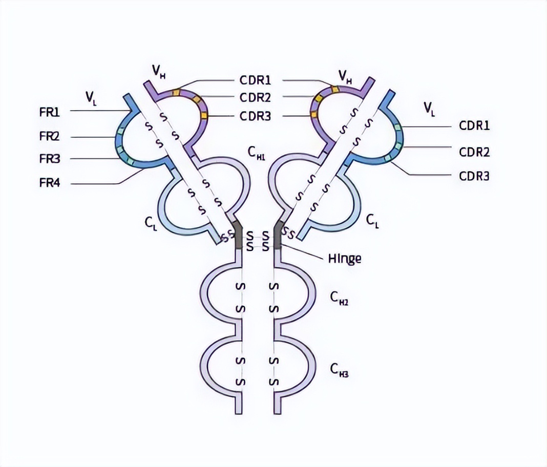 脱除有机硫为什么要用高压法,脱硫去除氯离子的办法