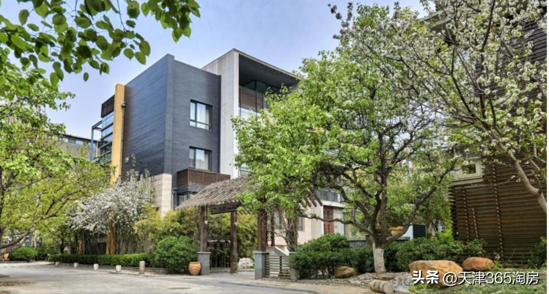 未开先火!王炸新盘正式启动,和平+河西!