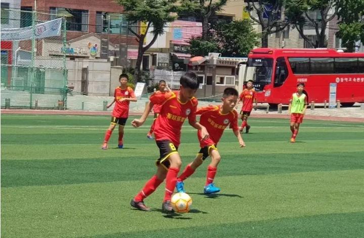 名嘴揭露中国足球青训潜规则,中国足球青训教练问题解析