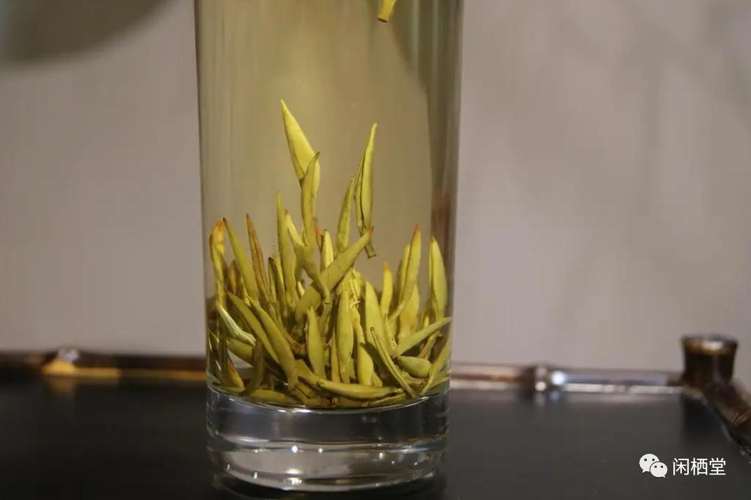 中国顶级茶叶排行榜,中国顶级茶叶排行榜大全