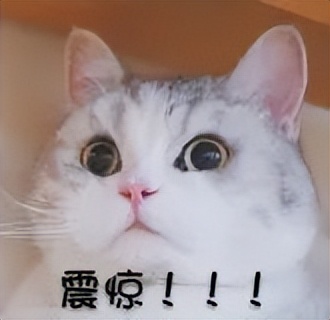 于正卖翡翠,于正自曝网购翡翠被骗