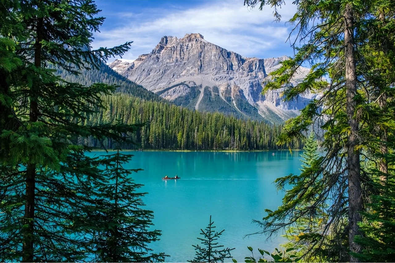 加拿大pr和枫叶卡的区别,加拿大pr卡枫叶卡意义