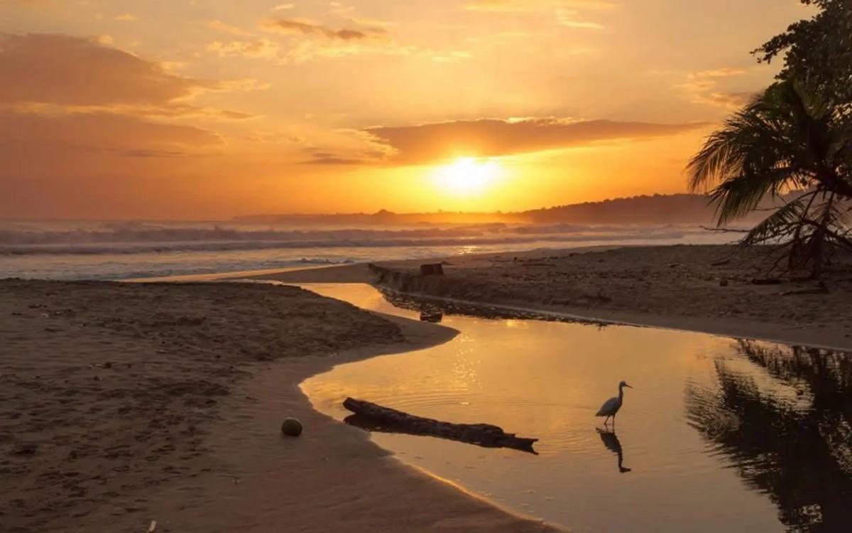 长沙岩石信息技术服务有限公司：做自媒体很难吗？