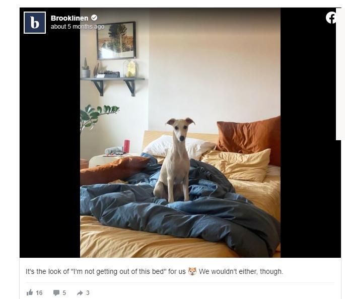 facebook如何调整语言,facebook如何改变成中文