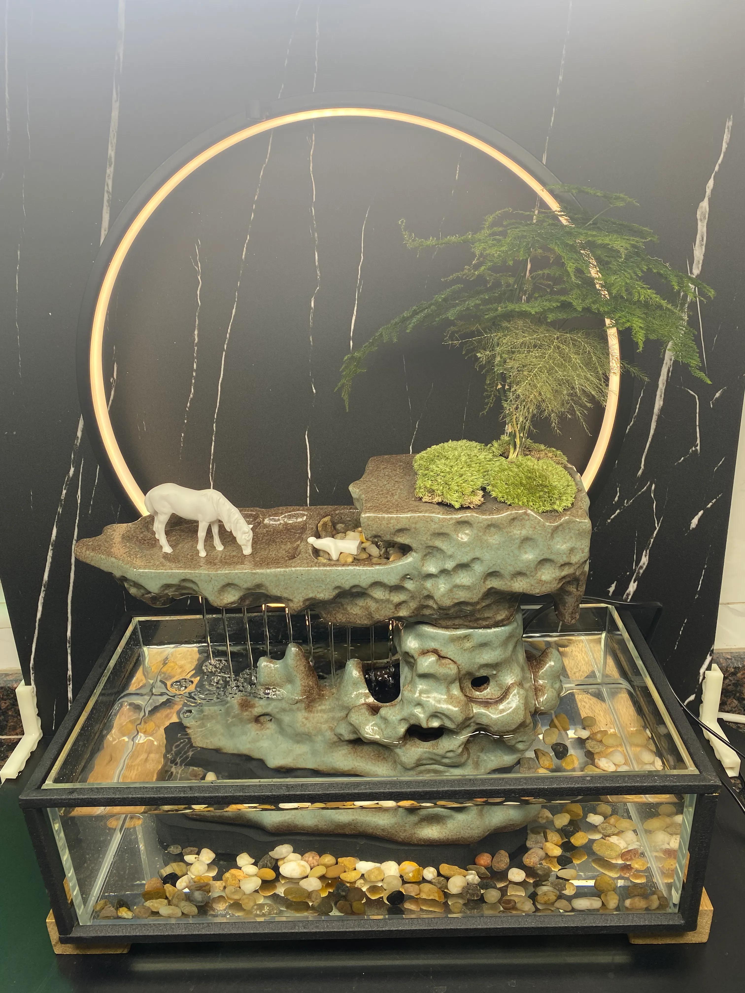 三线闭壳金钱龟养殖方法,三线闭壳金钱龟陆养