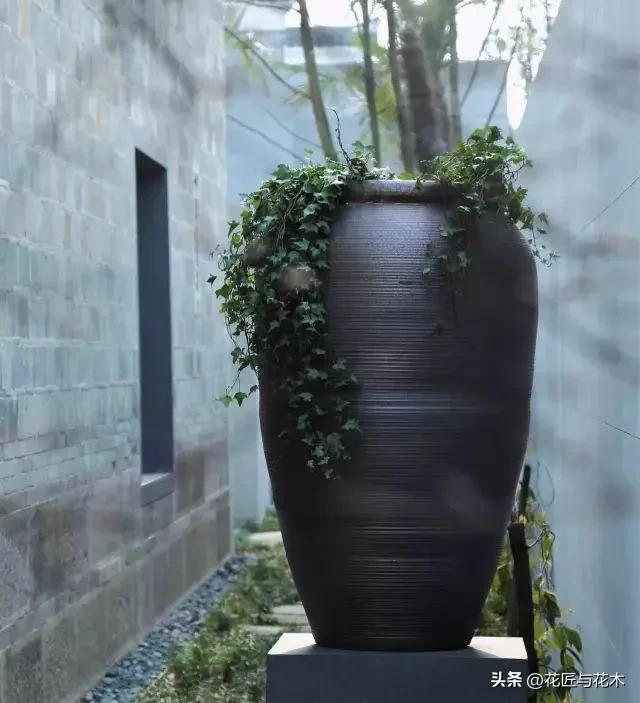 养云安缦上海云乡星愿,养云安缦·发现之旅·奔赴春天