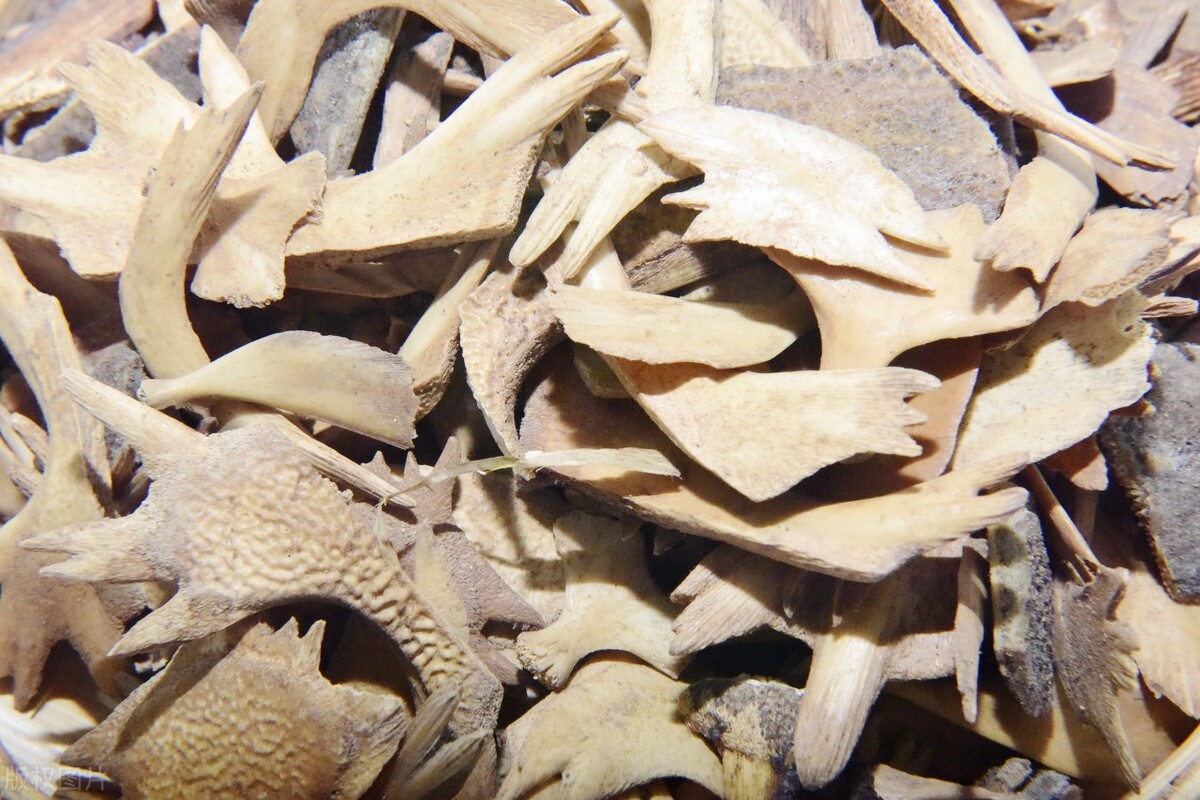 张学文治中风奇效验方,国医大师张学文清脑通络汤